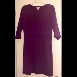 Purple Ann Taylor LOFT petite